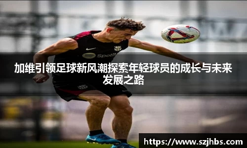 贝博BB艾弗森官网